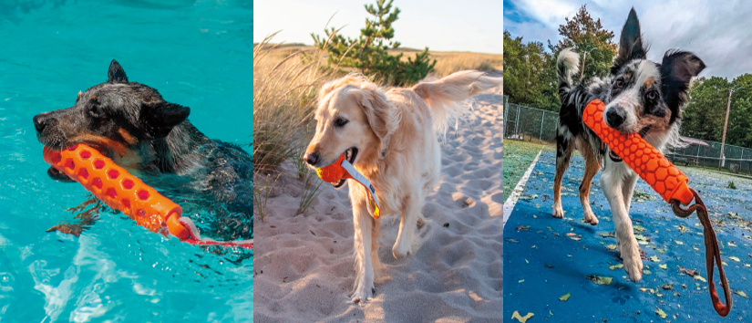 A collage of three images features dogs playing with N-Gage dog toys: a black dog swimming in a pool with an orange N-Gage toy, a golden retriever running on the beach holding the same toy, and a black and white dog standing on a blue surface with the toy in its mouth, displaying the versatility and appeal of the N-Gage dog toys in various environments.